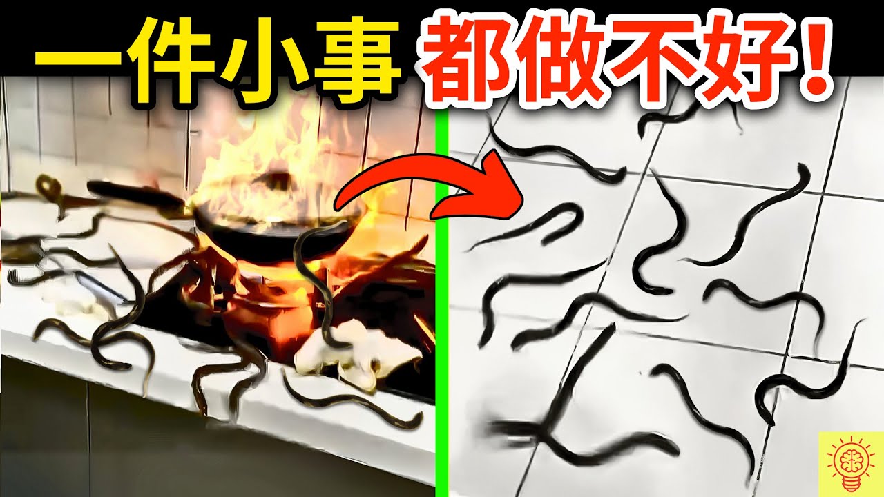 連一件小事都做不好的愚蠢人類! 現場畫面曝光！