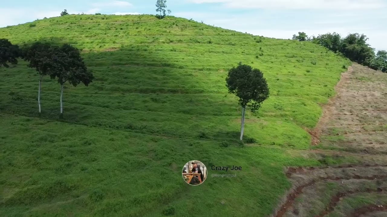 Sabana yang pernah viral