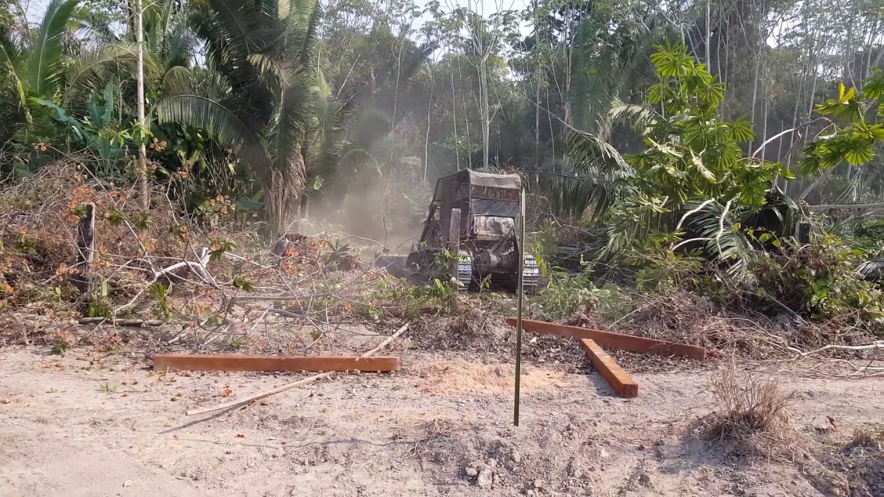 Trator de esteira D50 komatsu quebrando juquira