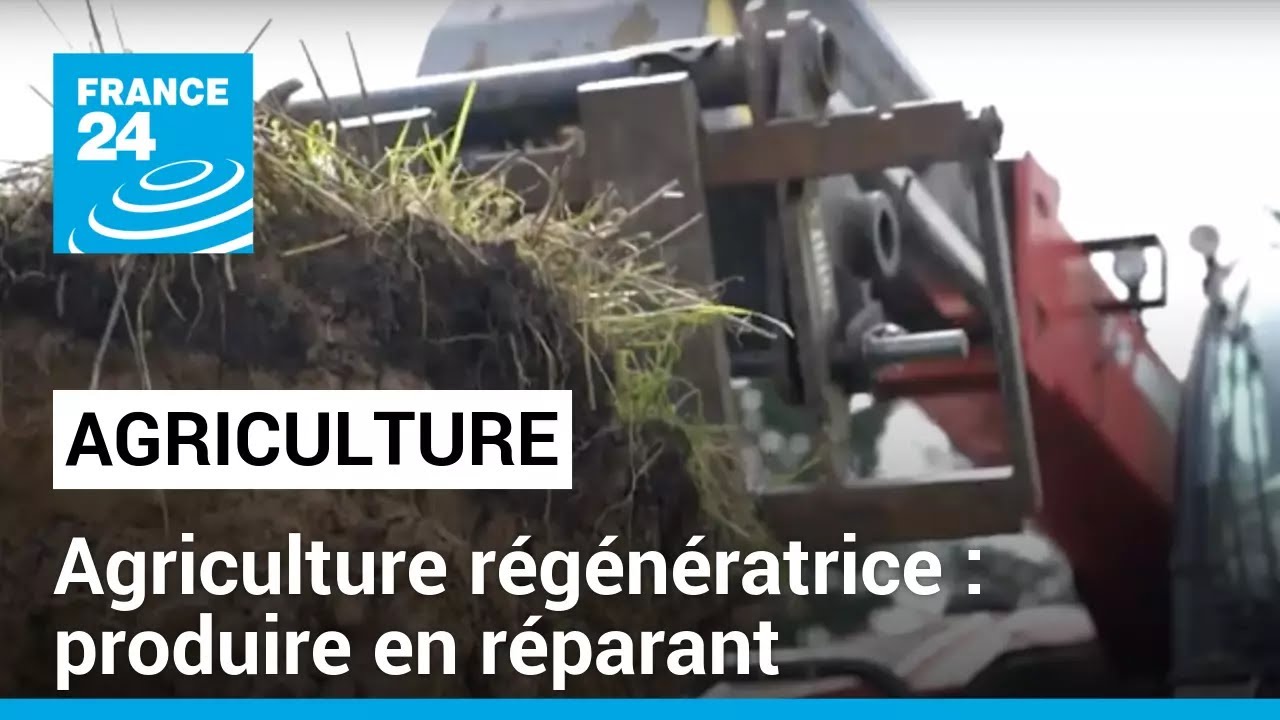 Agriculture régénératrice : produire en réparant • FRANCE 24