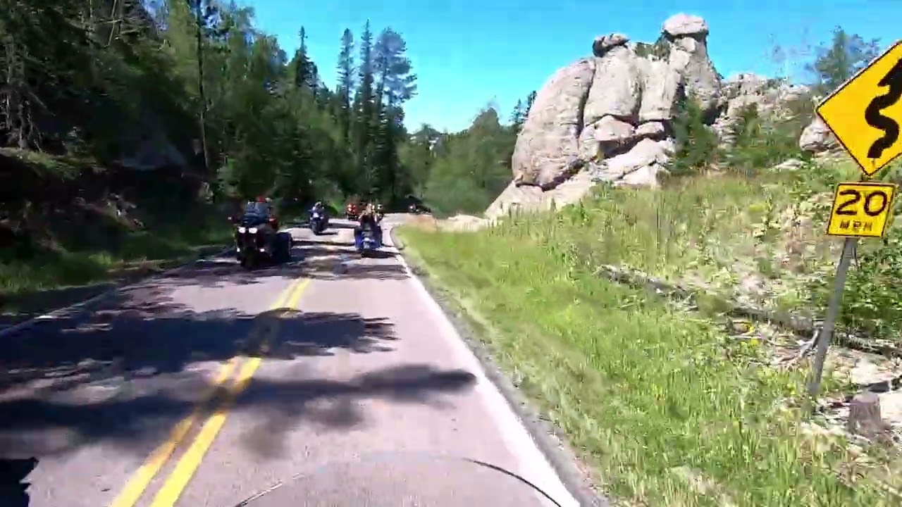 Needles hwy to Sylvan Lake