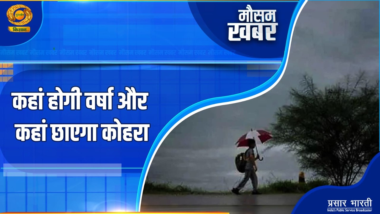 Mausam Khabar | मौसम खबर- कहां होगी वर्षा और कहां छाएगा कोहरा | DD Kisan | 11/02/2026