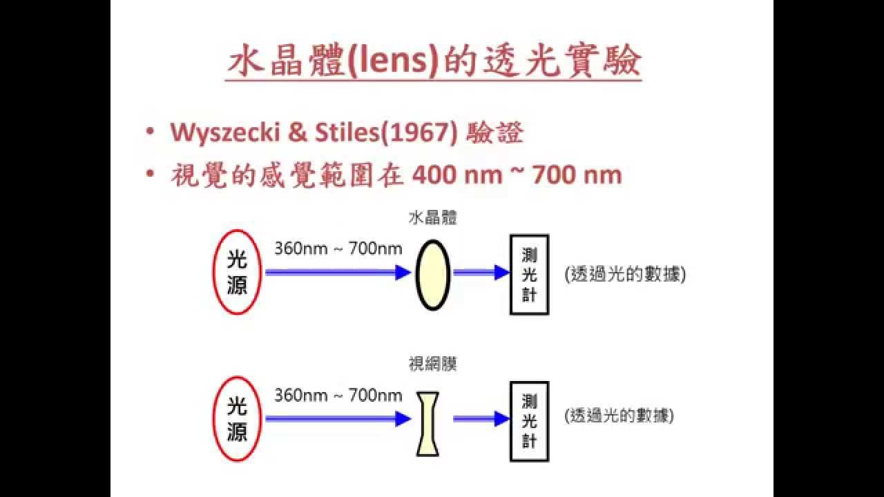 可見光的波長 2 4 水晶體的透光實驗