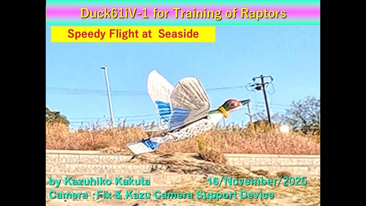 Ornithopter　カモ型羽ばたき機　Duck61iV : Speedy Flight at  Seaside