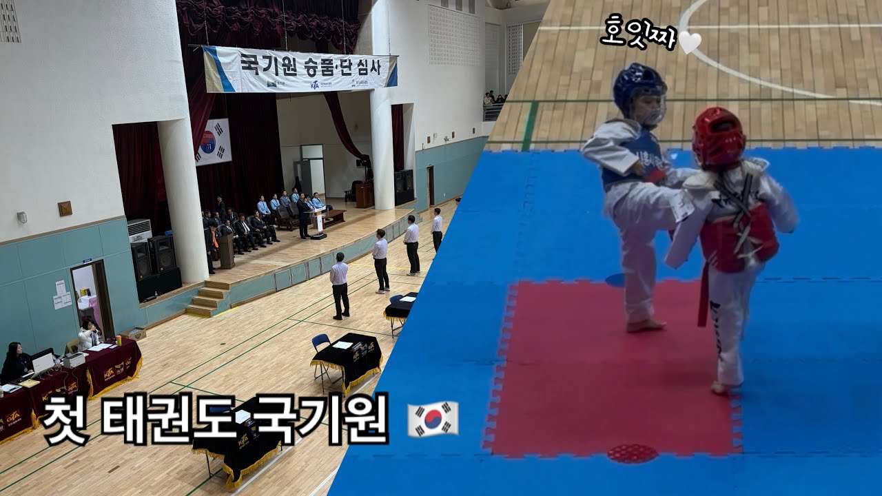 태권도 품띠 심사 결과는…? (국기원 가서 1품 심사 도전🔥)