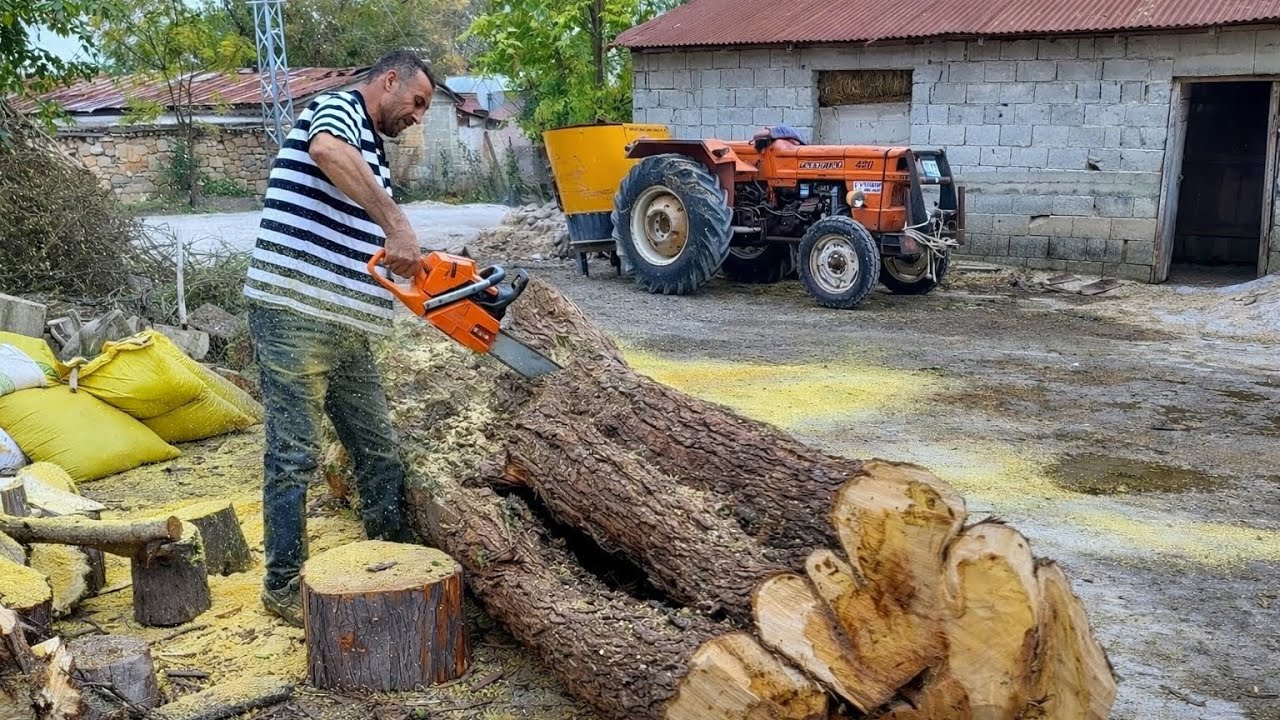 1 Depo ile Rekor Denemesi: Ne Kadar Odun Kesti ?