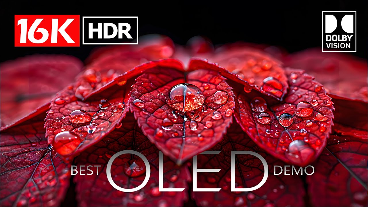 Best OLED Demo Dolby Vision HDR 16K 240 FPS | 16K Video ULTRA HD