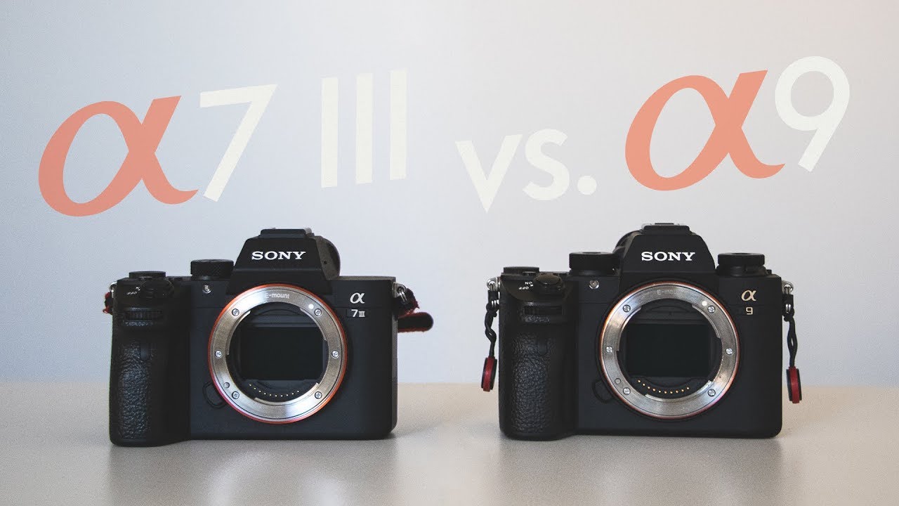 SONY A7 III vs. SONY A9 – Kdo je vítěz?