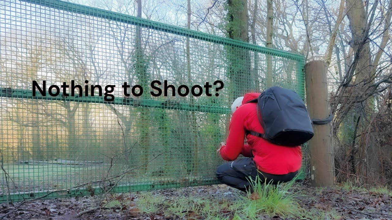Go Out With Your Camera Even When There is Nothing to Shoot