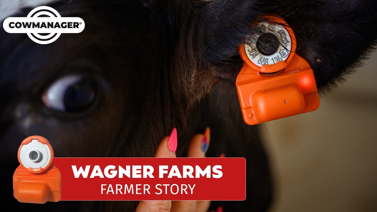 A New Level of Efficiency | Wagner Farms | USA #cowmanager #fmcflash #findmycow