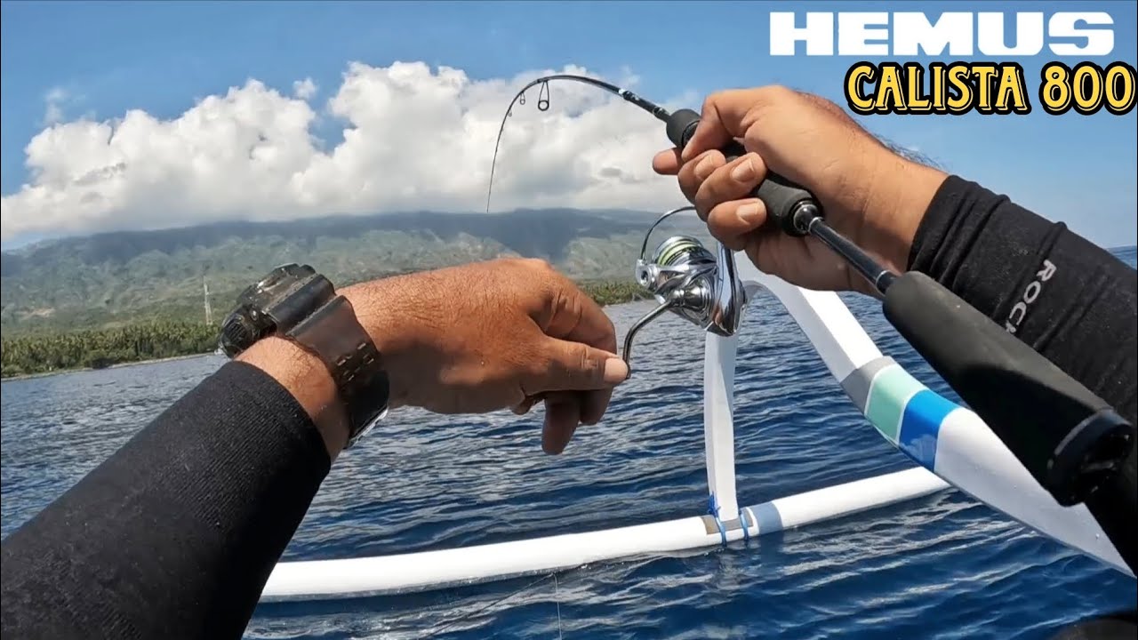 REEL KECIL TAPI KUAT DAN RINGAN !! HEMUS CALISTA 800 !! 