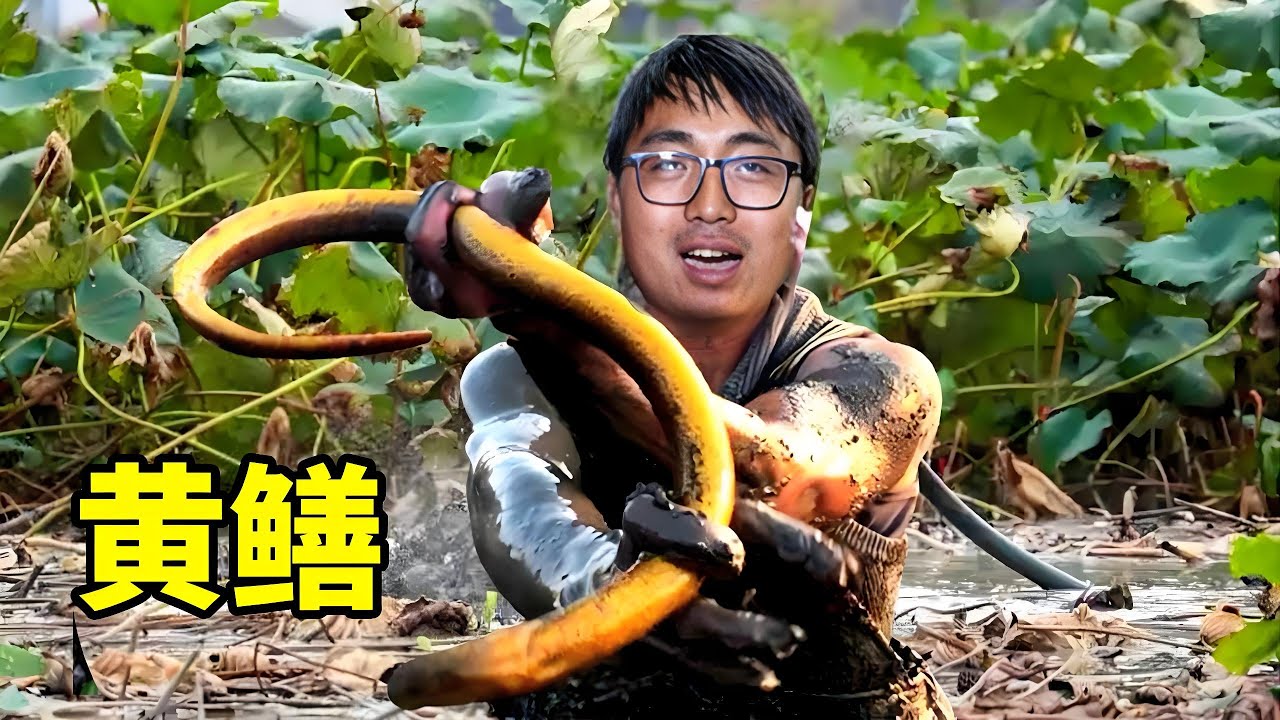 爸爸喜欢吃黄鳝，冬宝摘两个西瓜炖，万万没想到，这口感真不错！【湘西冬宝】