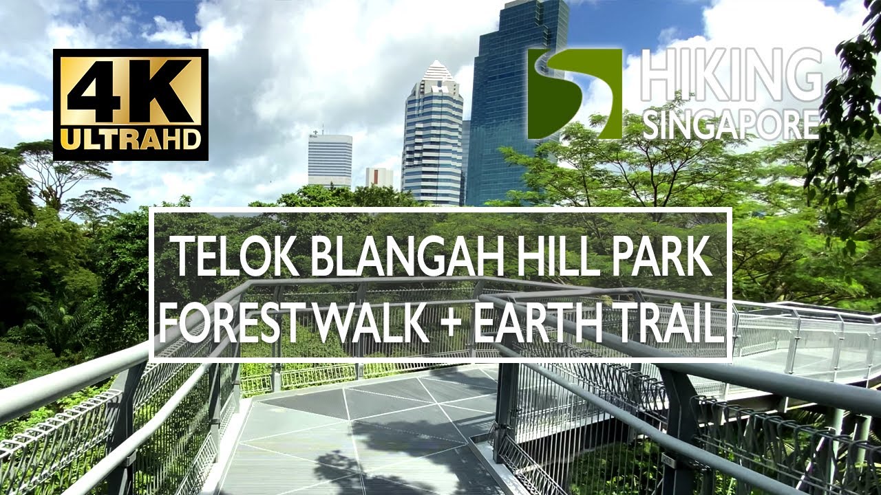 [4K] Telok Blangah Hill Park (Henderson Waves) - Hiking Singapore