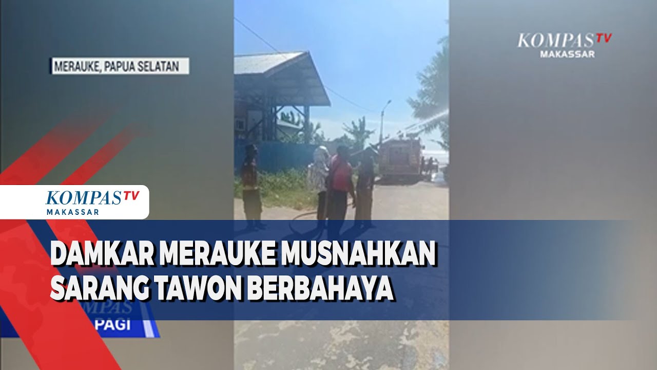 Damkar Merauke Musnahkan Sarang Tawon Berbahaya
