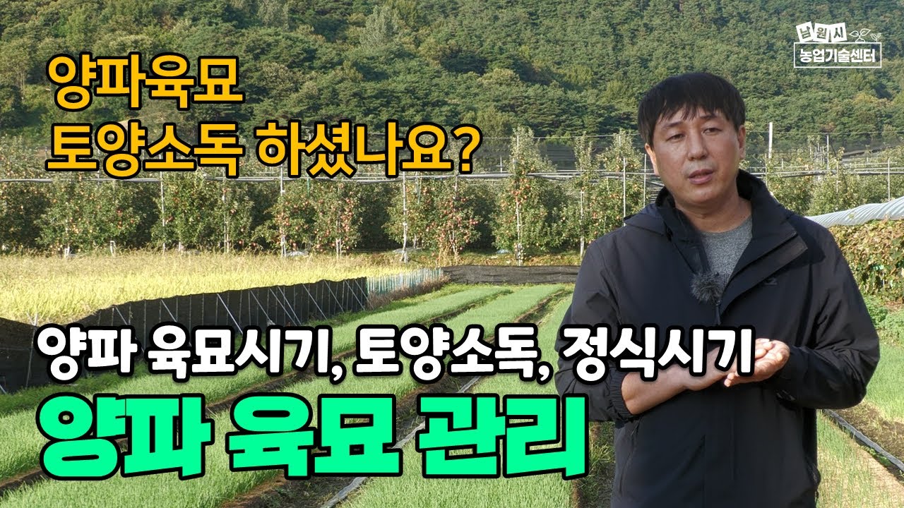 양파 육묘부터 정식까지, 토양소독방법, 육묘상 물관리, 정식시기