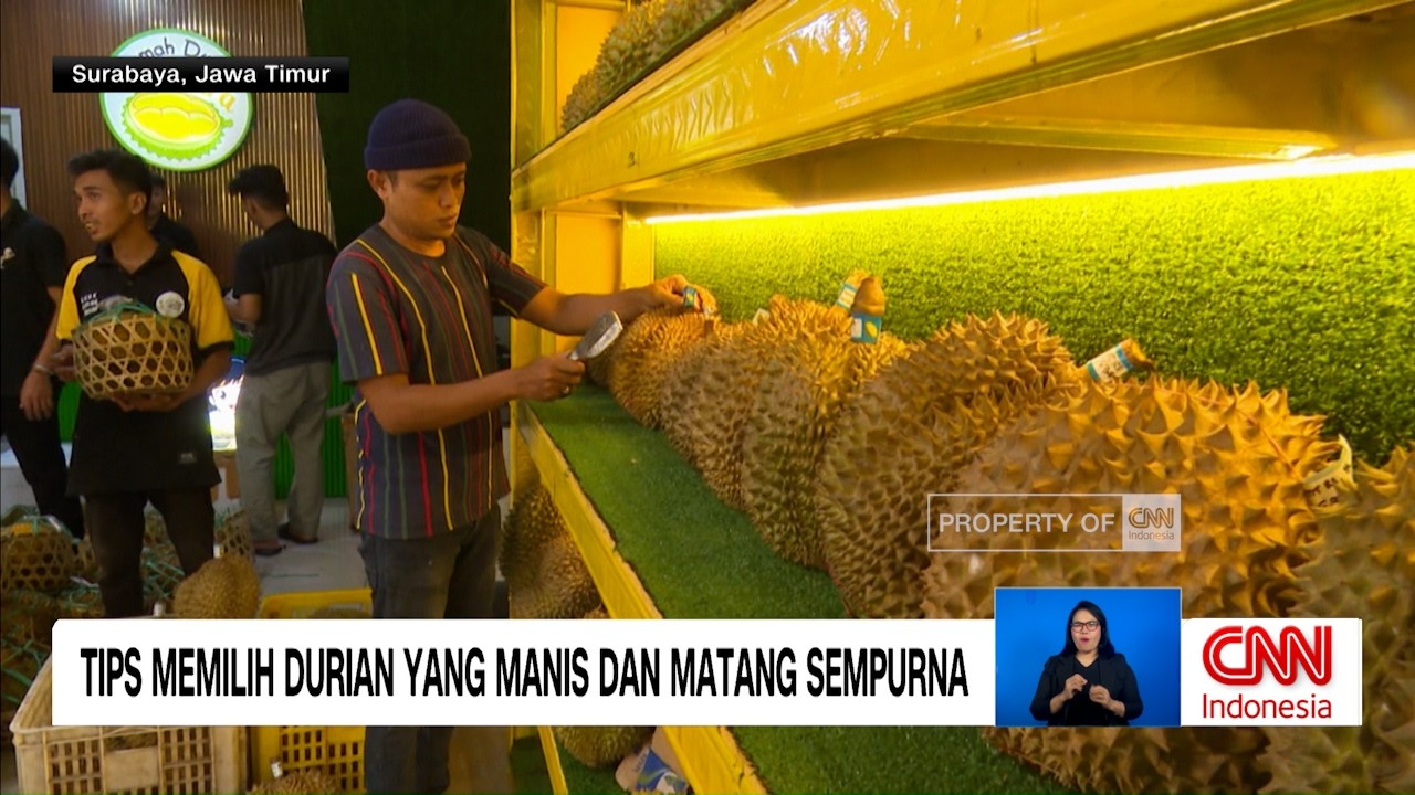 Tips Memilih Durian Manis dan Matang Sempurna, Jangan Salah Pilih!
