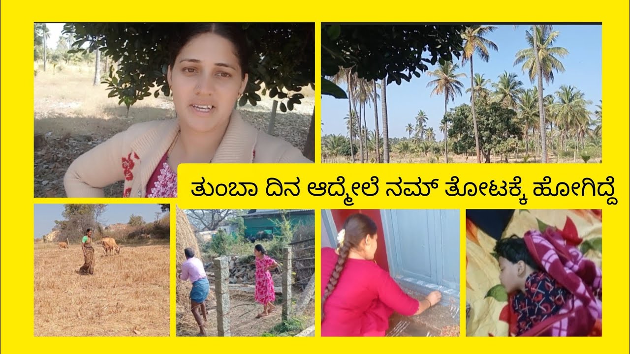 ಅಮ್ಮ ಊರಲ್ಲಿ ನಮ್ ತೋಟ ಹೇಗಿದೆ ನೋಡಿ.