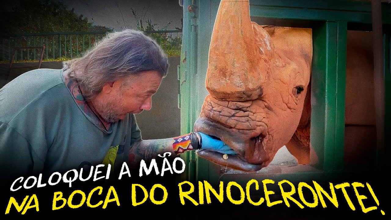 ENTREI NO RECINTO DO RINOCERONTE BRANCO NO ZOOLÓGICO DE BRASÍLIA!