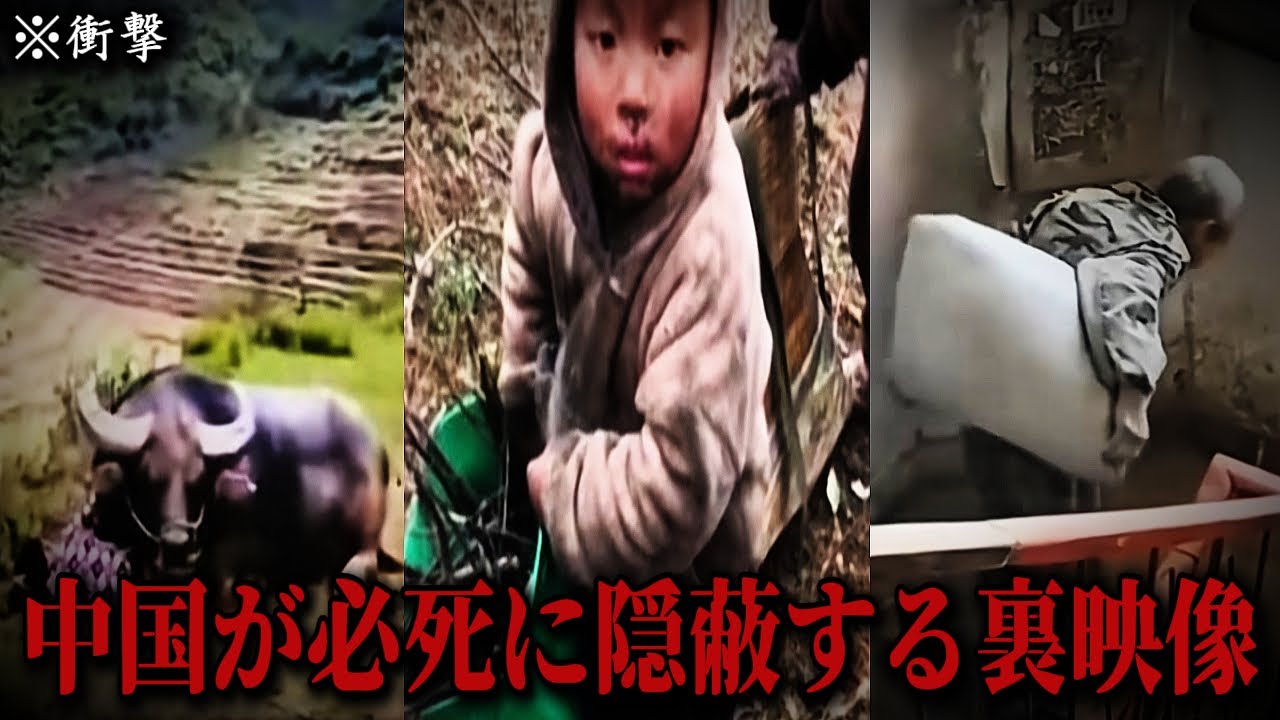 【閲覧注意】中国当局が隠蔽した「地獄の日常」流出…🔥 泣き崩れる失業者と家畜小屋で寝る子供たち