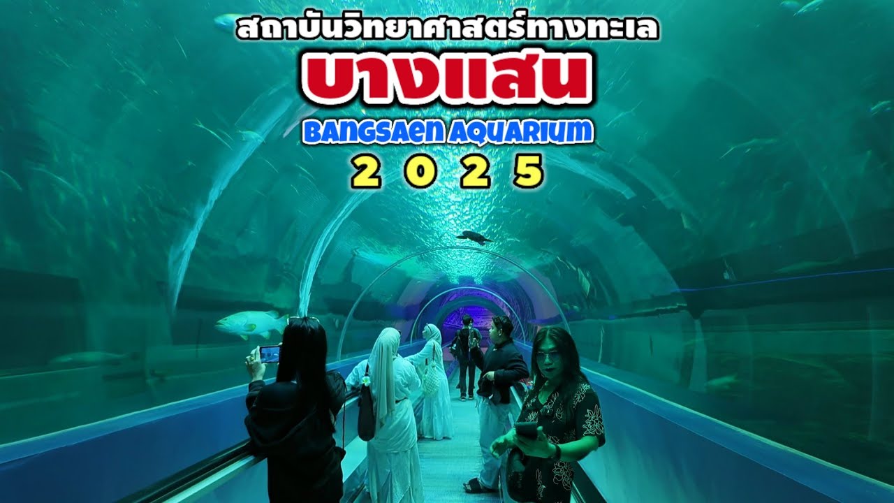 สถาบันวิทยาศาสตร์ทางทะเล บางแสน | Bangsaen Aquarium