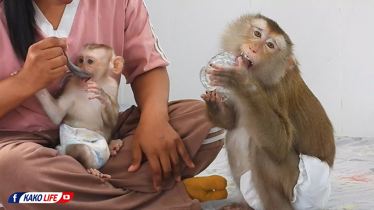 Mommy Luna With Baby Luka Enjoying Delicious Milk