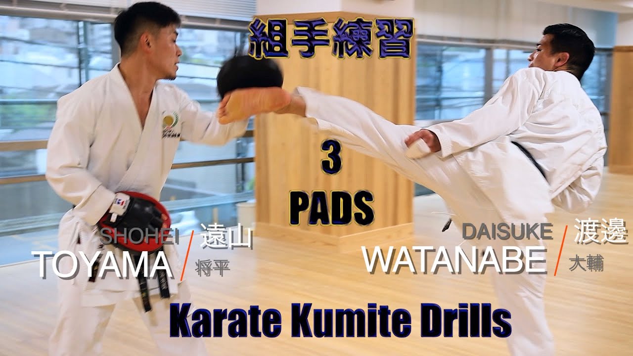 Kumite Training 3 (Pad training) 基本組手3ミット