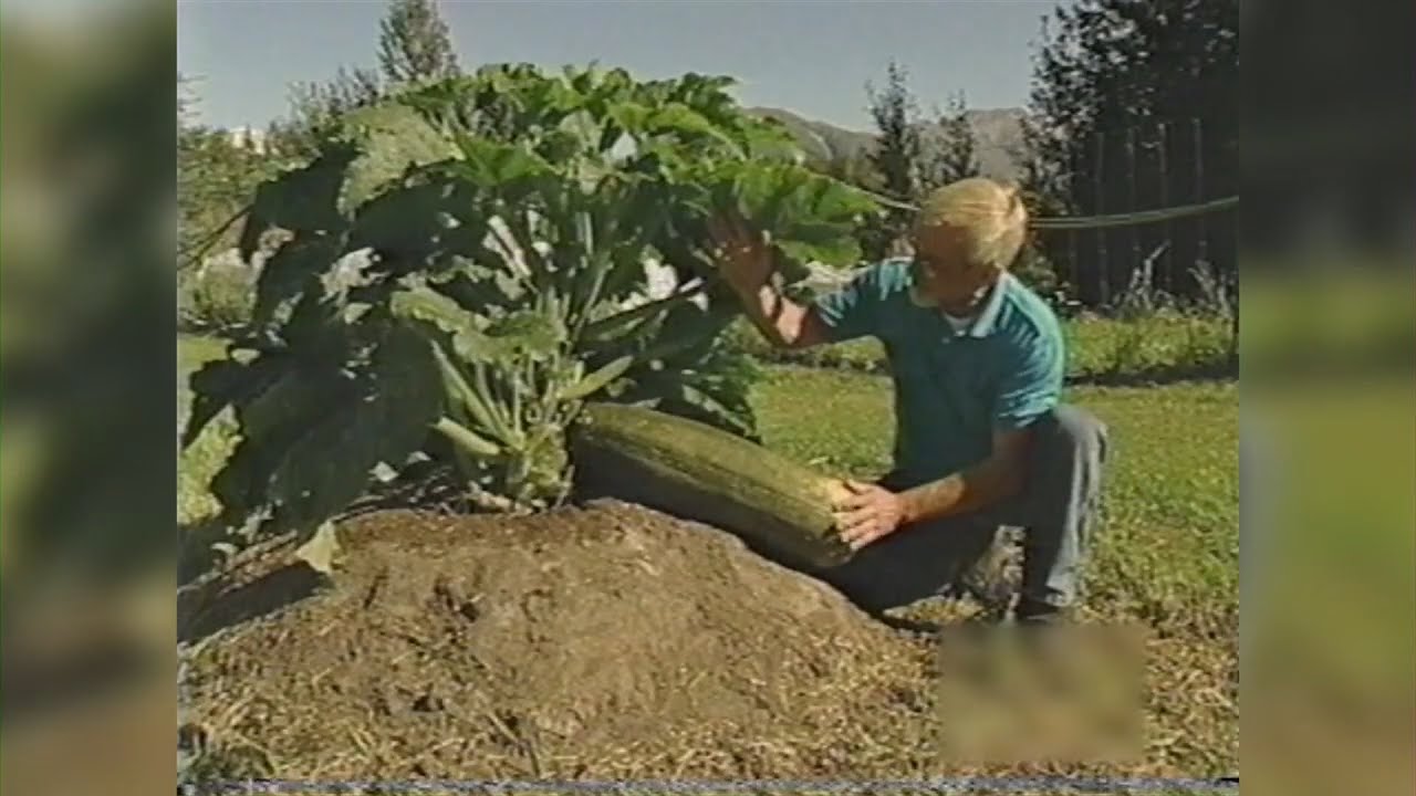 The secret is in the soil - Compost Tea for growing BIG vegetables - John Evans HD