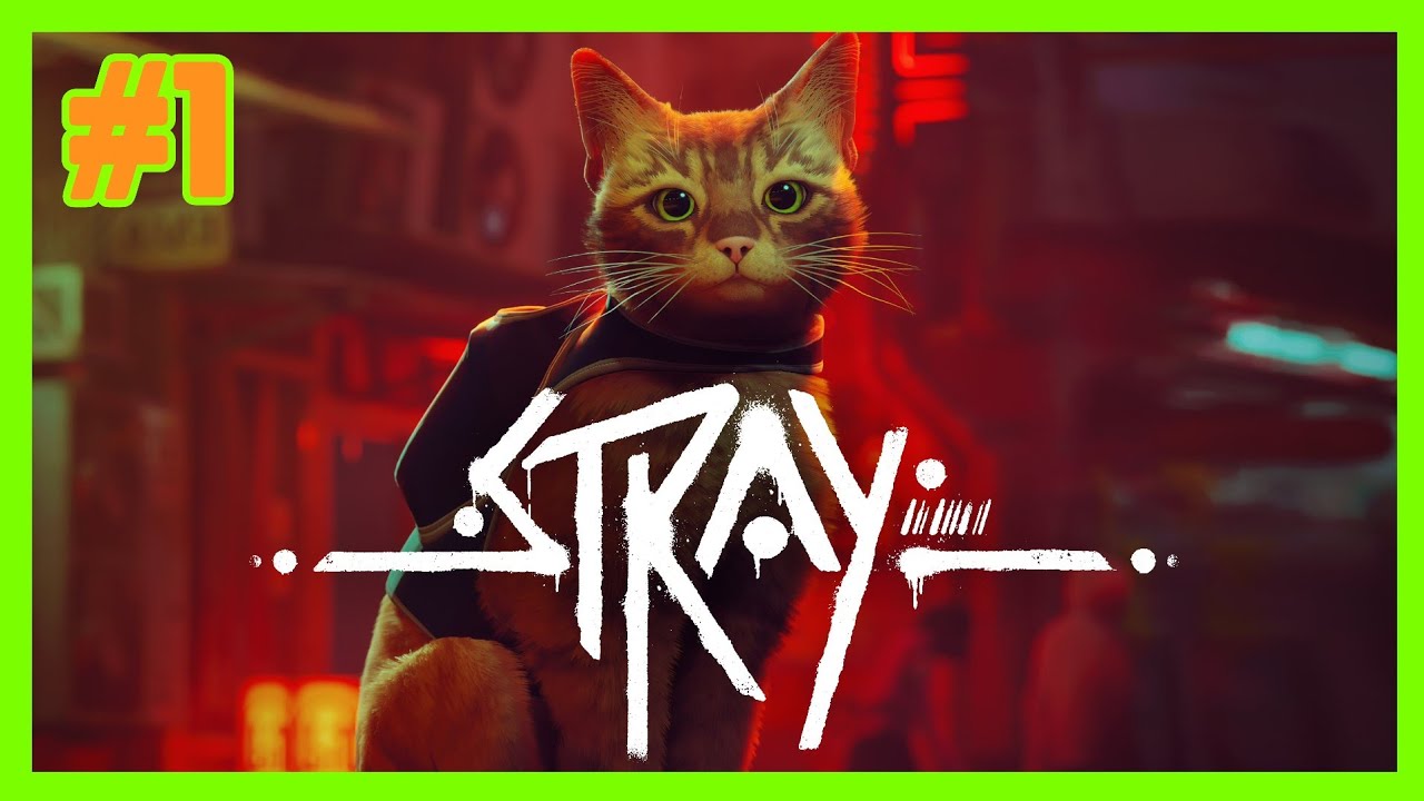 Peligro, exceso de preciosidad | Stray #1