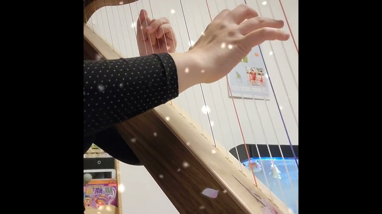 世界が終るまでは  ~harp cover~ Slam Dunk 直到世界的盡頭