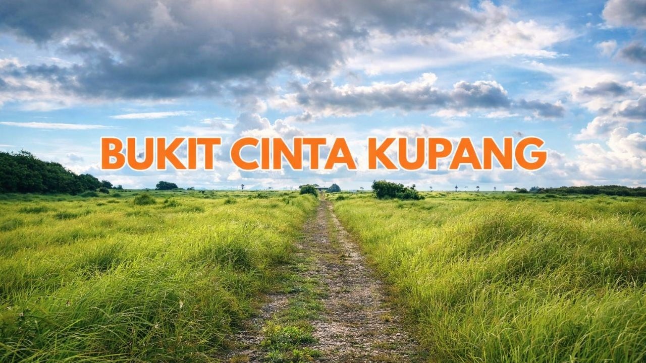 BUKIT CINTA KUPANG: HAMPARAN RUMPUT HIJAU SPOT JALAN KAKI, NONGKRONG, BERFOTO YANG ESTETIK