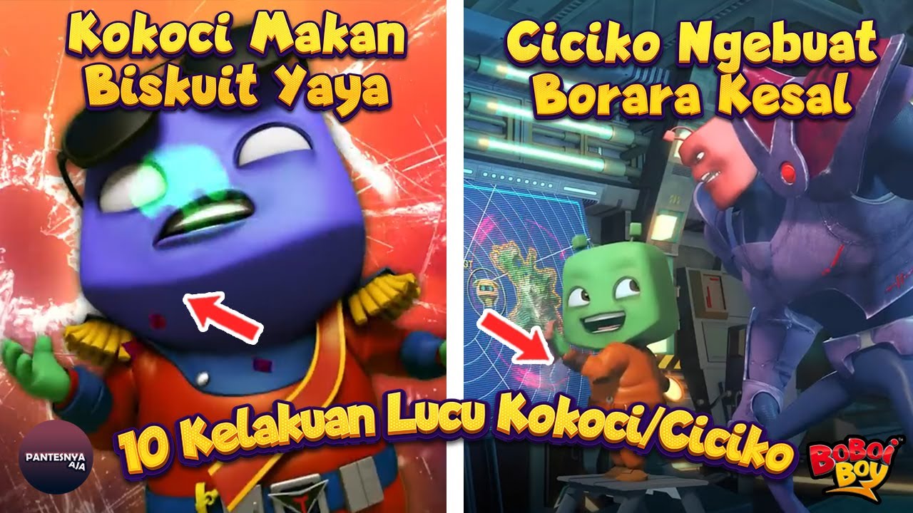 10 Kelakuan Lucu Kokoci/Ciciko