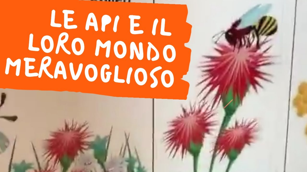 Le api e il loro meraviglioso mondo Video per bambini | Mielisa