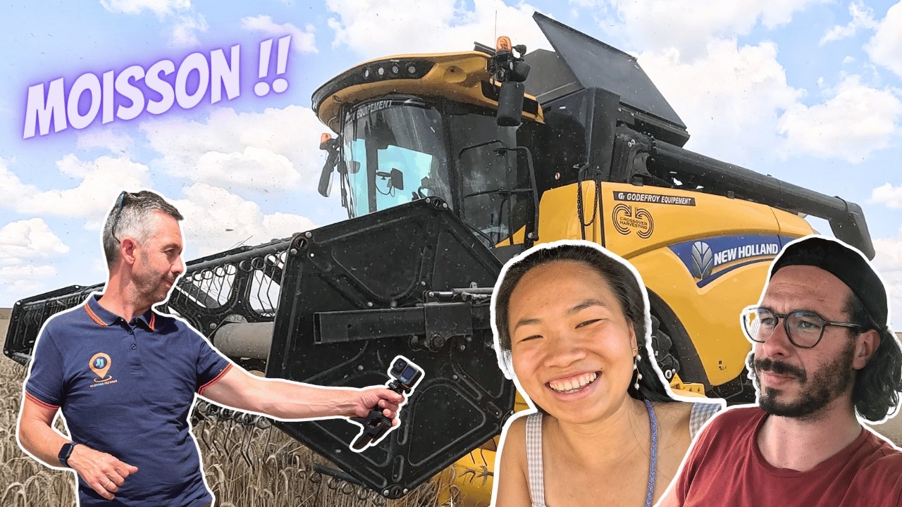 La moisson commence 🌾 Lise et Émilien prennent le lead du vlog.