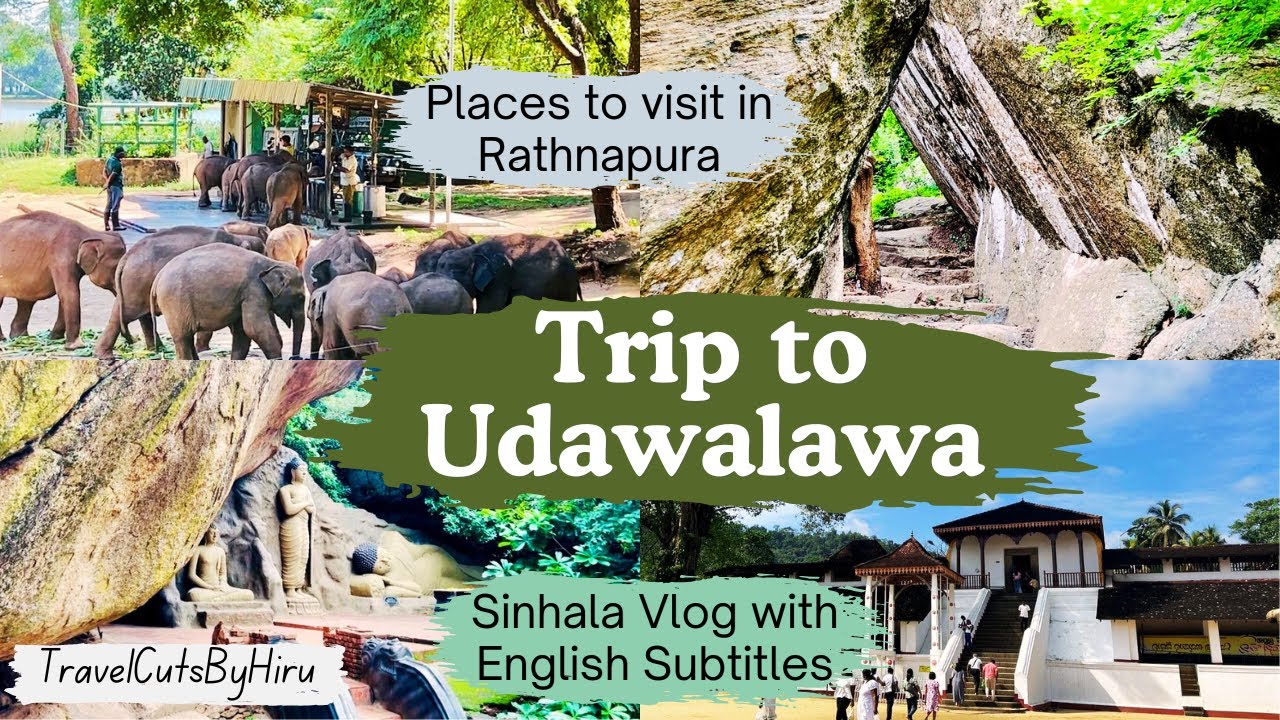 Things to do in Rathnapura & Udawalawa | Trip from Colombo to Udawalawa | Vlog 37 | TravelCutsByHiru