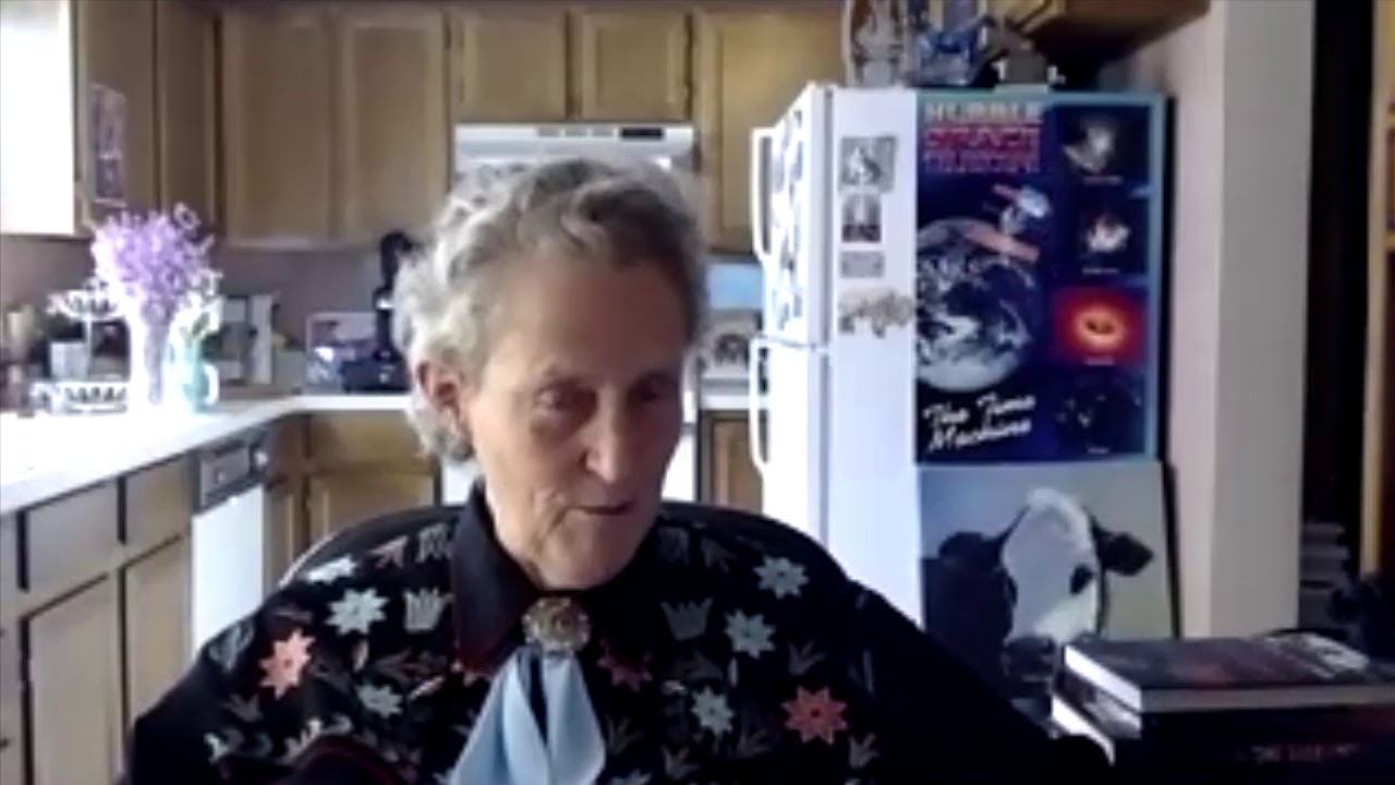 Dr. Temple Grandin: Classification of Autism & Asperger's Syndrome - Autism Knows No Borders Podcast