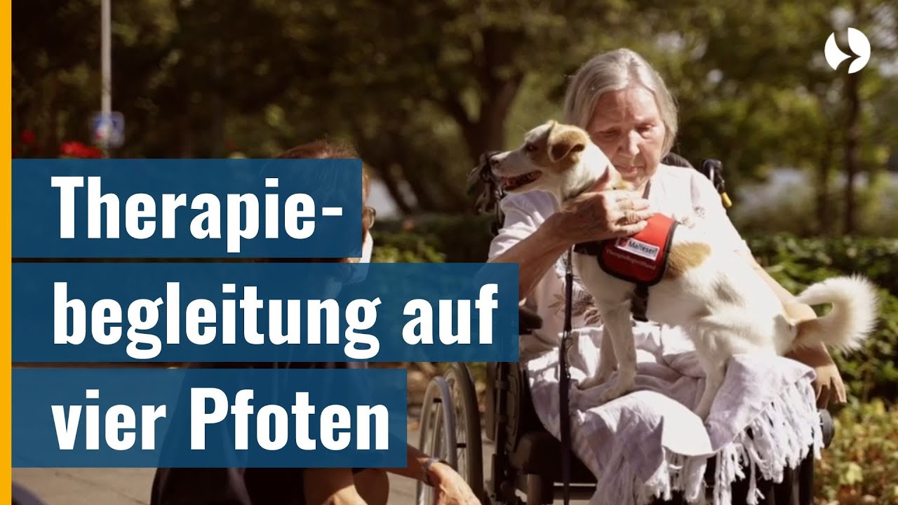 Hunde bringen Heiterkeit ins Leben - Therapiebegleithunde im Seniorenheim