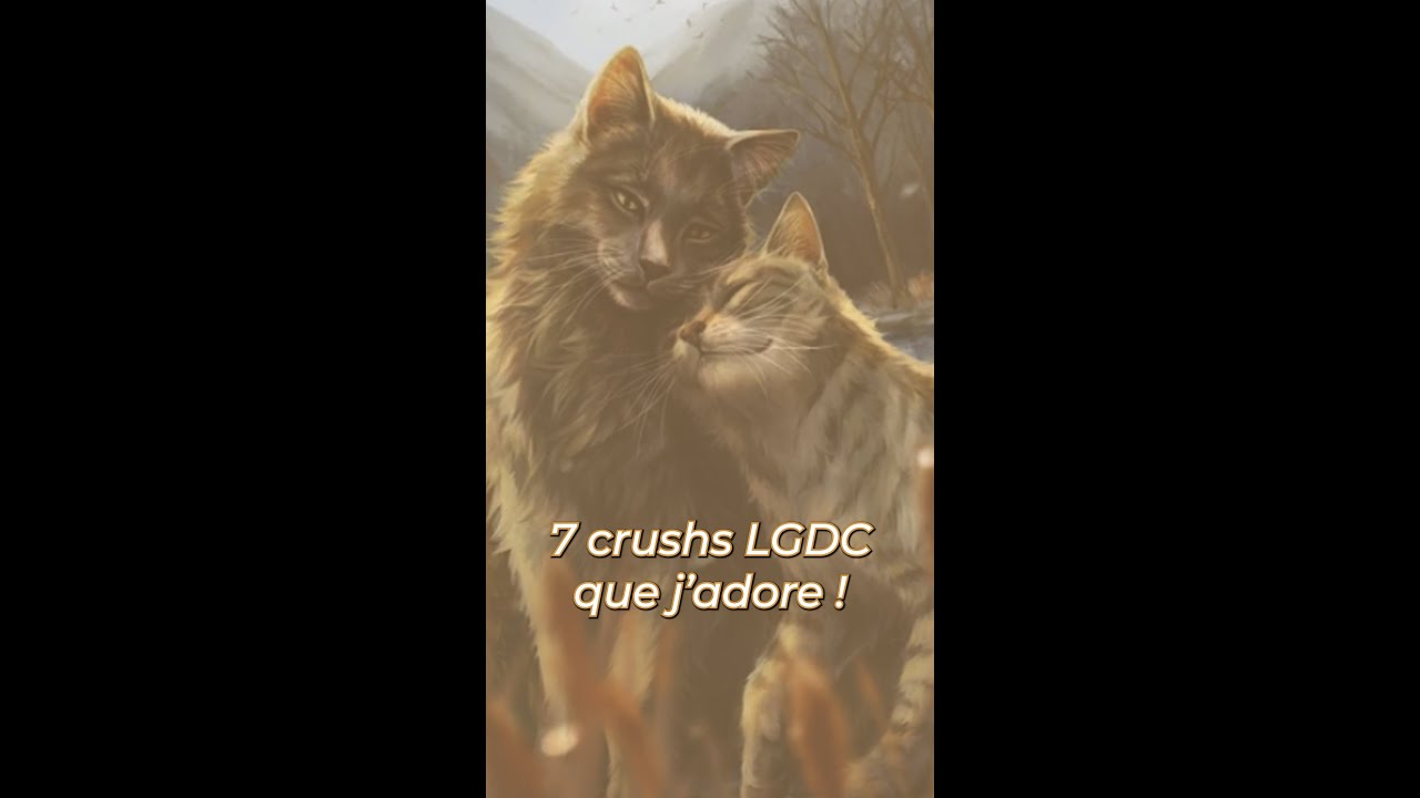 7 crushs LGDC que j'adore ! - La Guerre des Clans