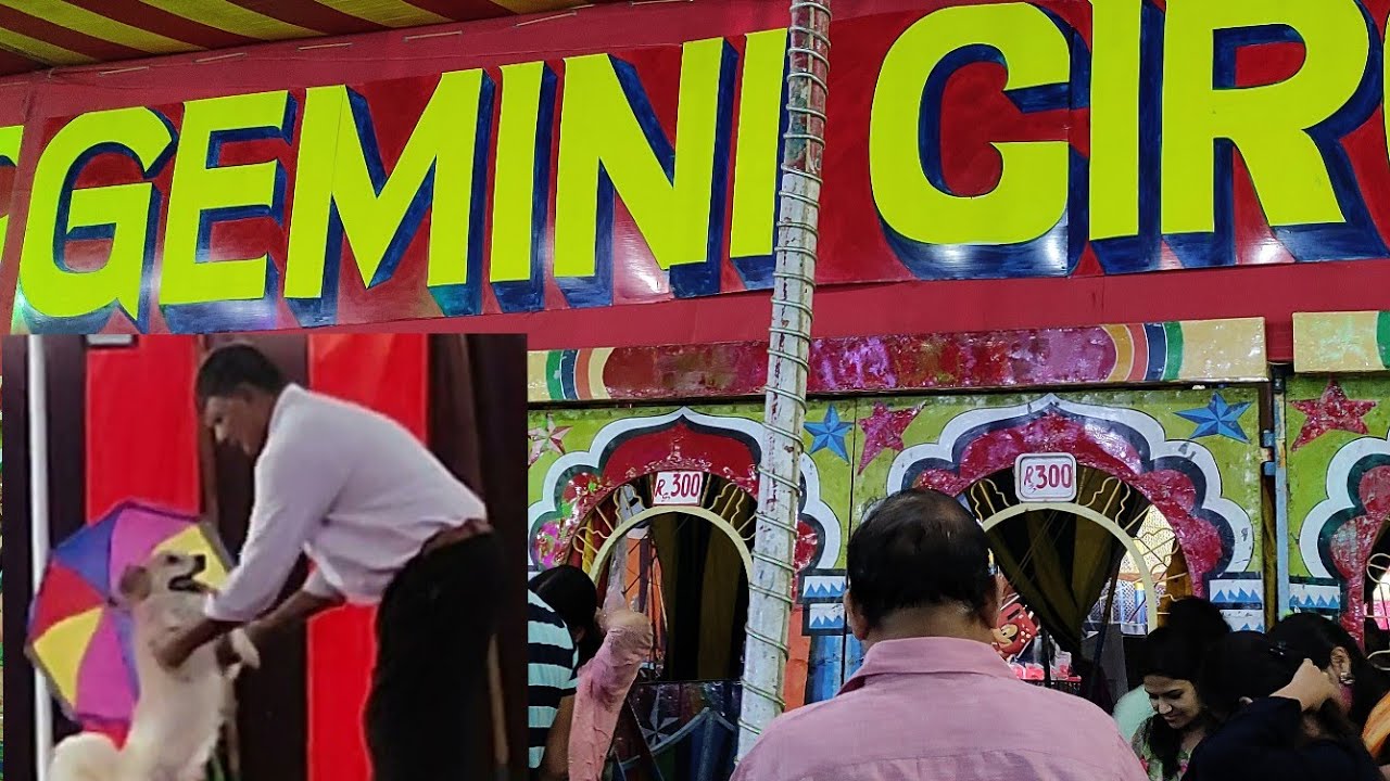 Gemini Circus Part - 2, Flying trapeze  Asiad Circus Jemini Circus 2022