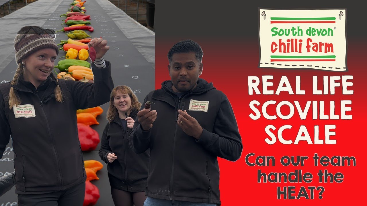 REAL LIFE SCOVILLE SCALE
