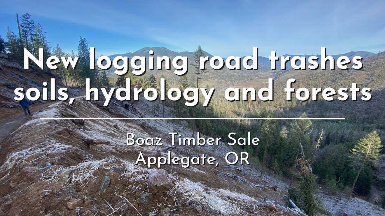 New logging road trashes soils, hydrology and forests