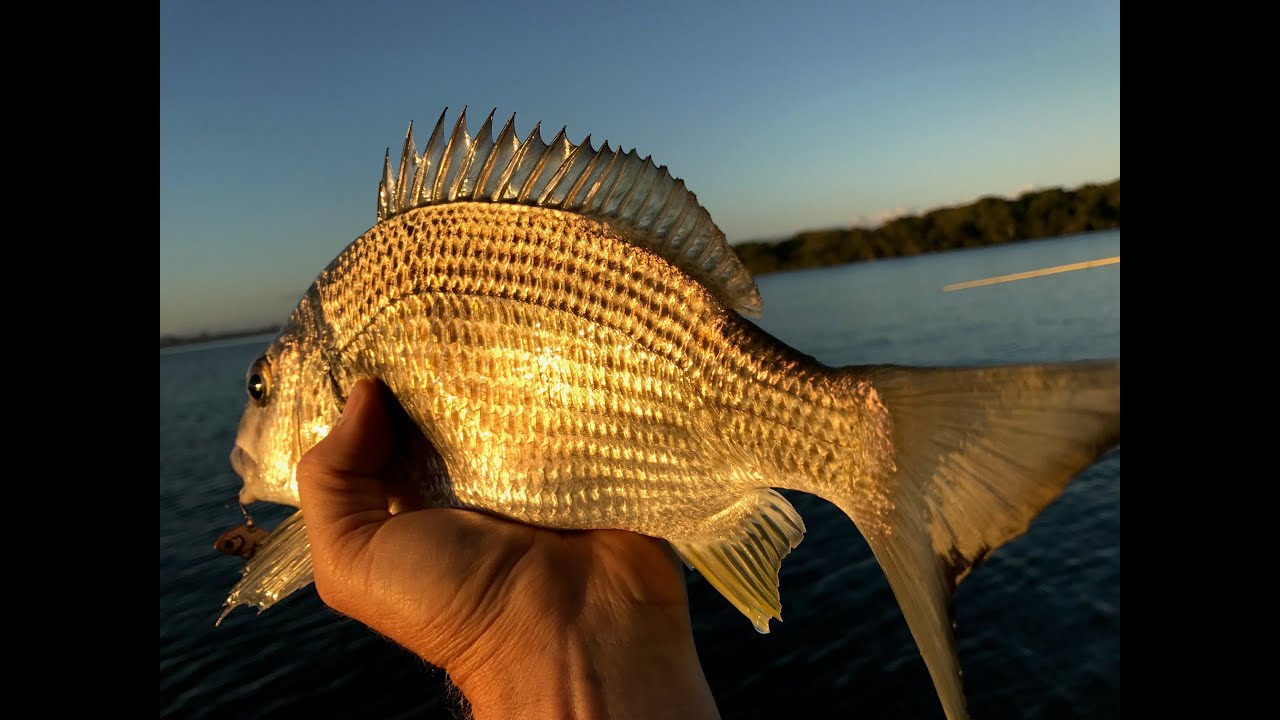 Shellharbour, NSW South Coast - Fishing Special