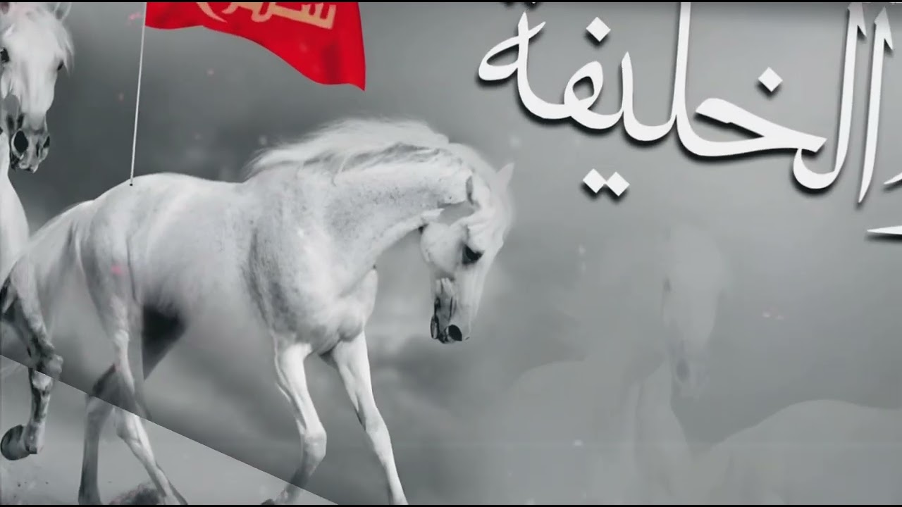 شيلة عزوة الخليفة || احمد الرجعان (حصرياً) 2023