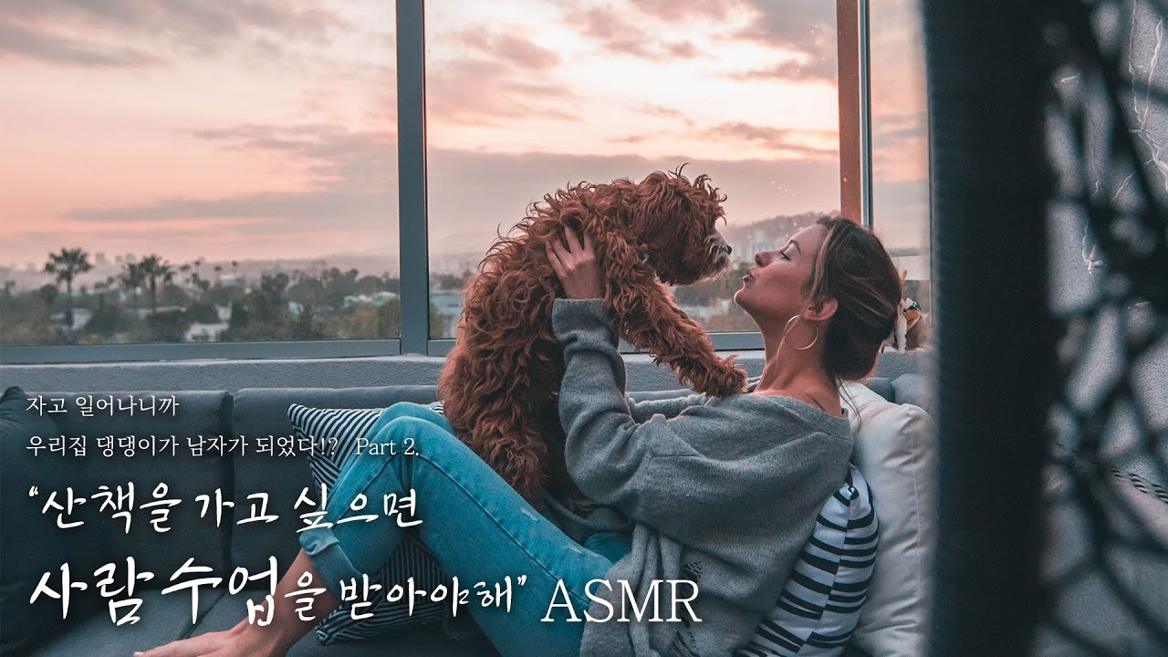 🐶남자가 된 우리집 강아지... 산책가고싶으면 인간수업을 받아야해!🦮 // "나.. 인간처럼 할 수 있으면 산책 나가는거야..?" | 잠잘 때 듣는 ASMR드라마 | 남자ASMR