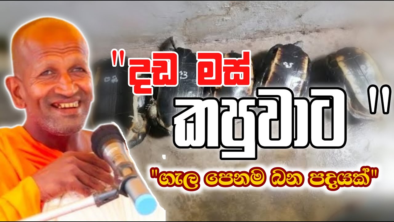 දඩමස් කපුවා/කාගම සිරිනන්ද හිමි/kagama sirinandha thero @Dhammanussathi