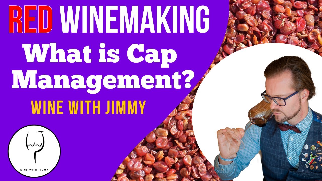 WSET Level 4 (Diploma) Red wine making Introduction to Cap Management