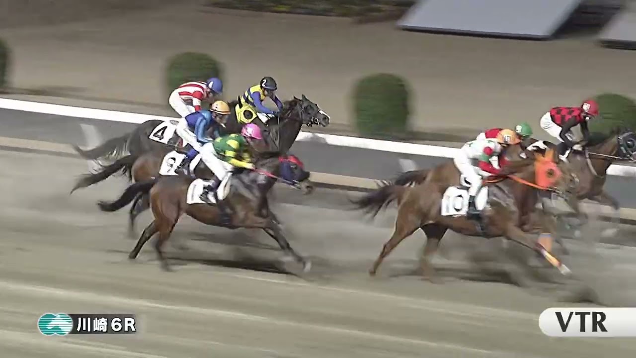 川崎競馬ダイジェスト（2026年2月6日）