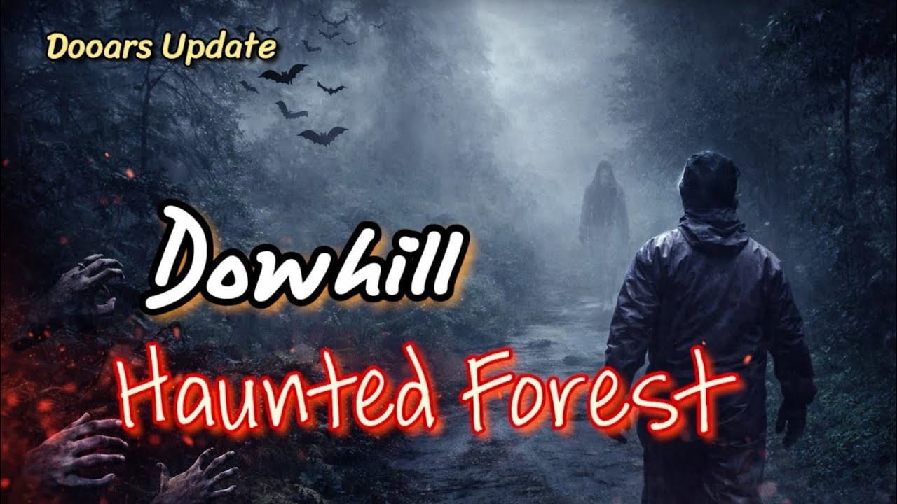 Dowhill Forest || Dowhill Haunted Forest || Dowhill Death Road || Dooars @DooarsUpdate