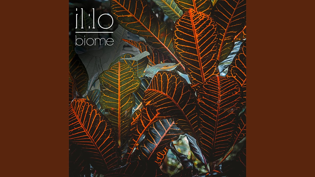 Biome