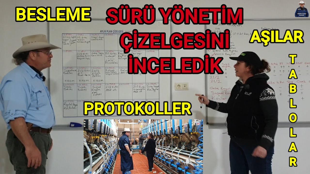 ASSAF ÇİFTLİĞİNDEKİ TABLOLAR ETKİLEDİ | DEĞERLENDİRME YAPTIK | BİSTE BÖLÜM 9