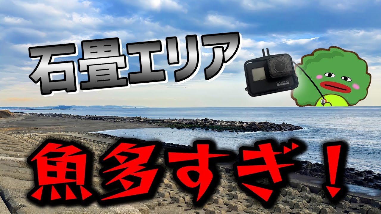 【柳島海岸】極寒の海でもここはオアシスだった